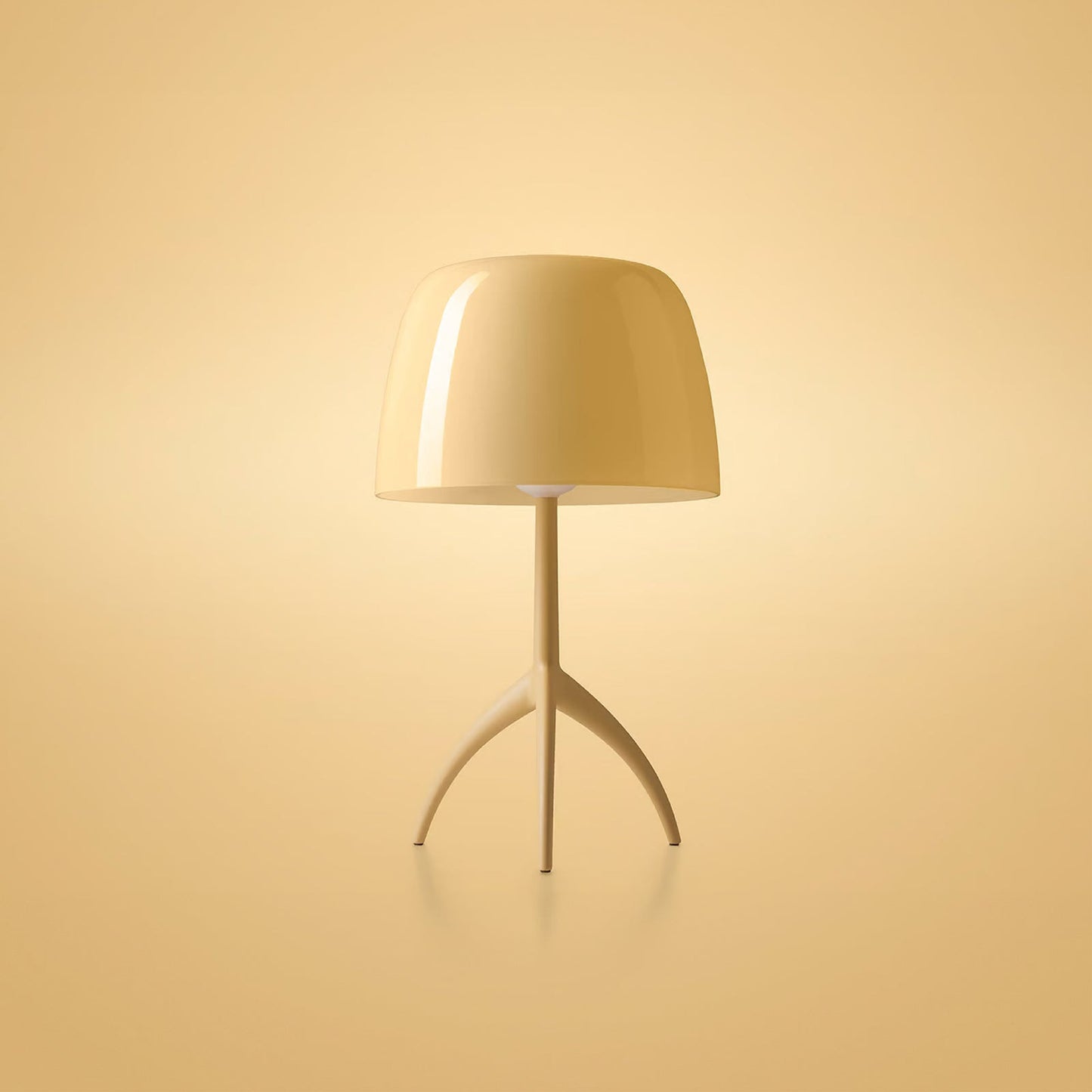 LUMIERE NUANCES GRANDE