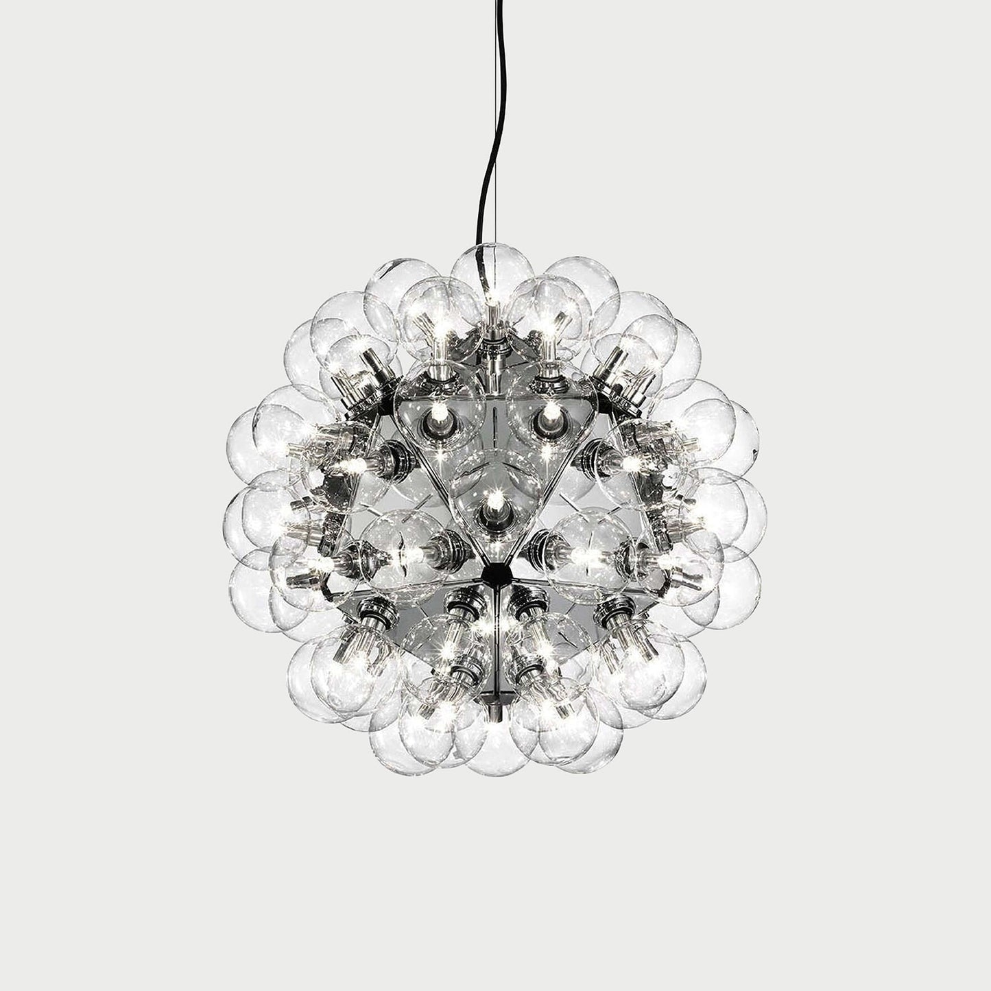 TARAXACUM 88 SUSPENSION 1