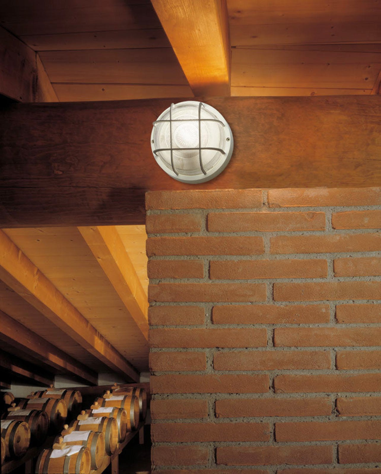 TARTARUGA TONDA 200 CON GABBIA White Exterior Wall Lamp