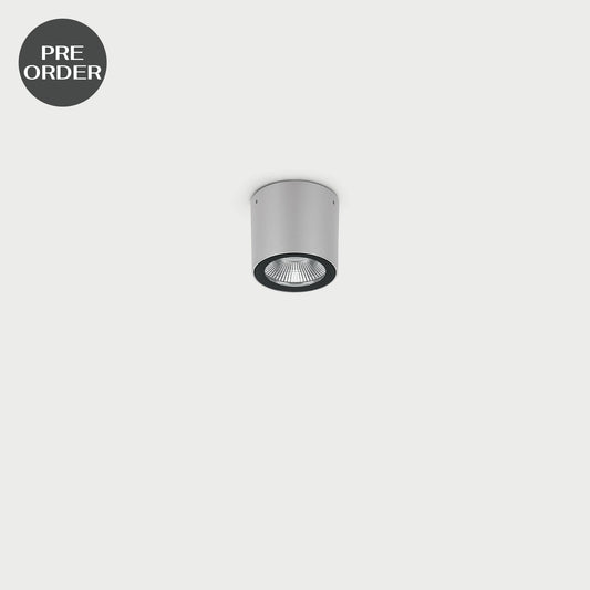 Noa 50 Top Grey High Tech Ral 9006 Exterior Ceiling Lamp